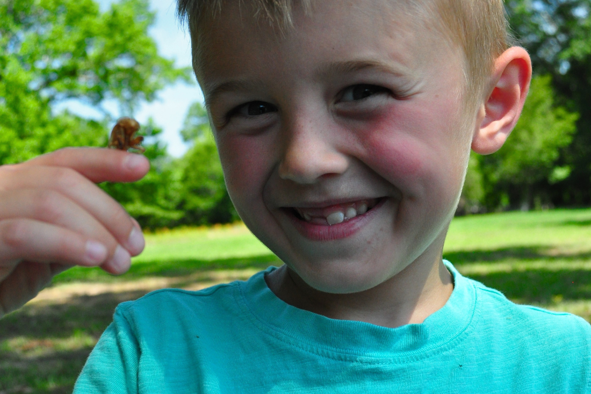 Lockerly Arboretum