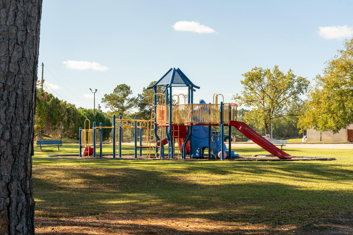 Playground at Walter B. Williams