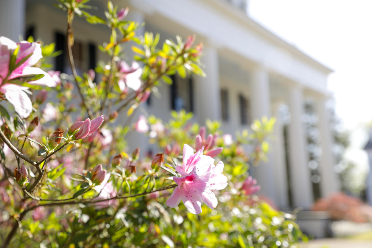 Spring flowers at an historic home