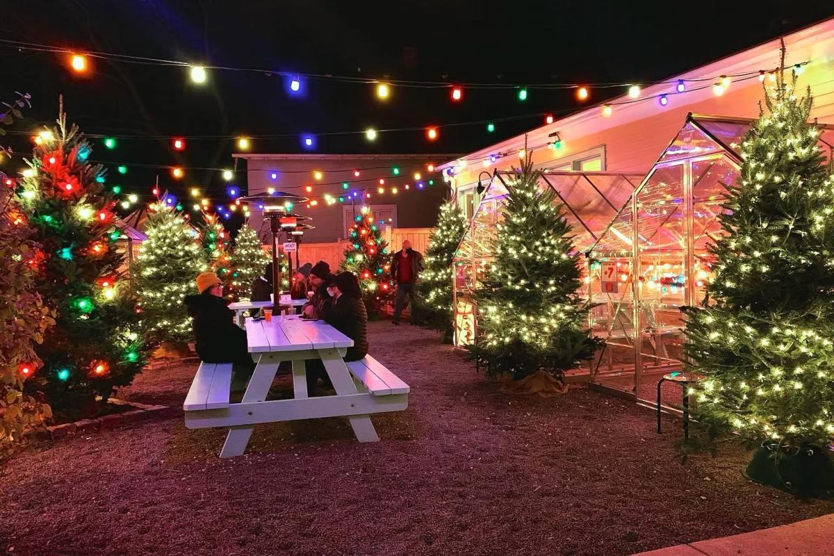 An outdoor holiday setting at night with rows of decorated evergreen trees lit by white and multicolored lights. Strands of bright bulbs hang overhead, casting a warm glow across the space. A white picnic table sits in the center where people in winter clothing gather with drinks. Small greenhouse structures on the right side shine with interior lights. The ground is covered in gravel and the scene feels cozy and festive.