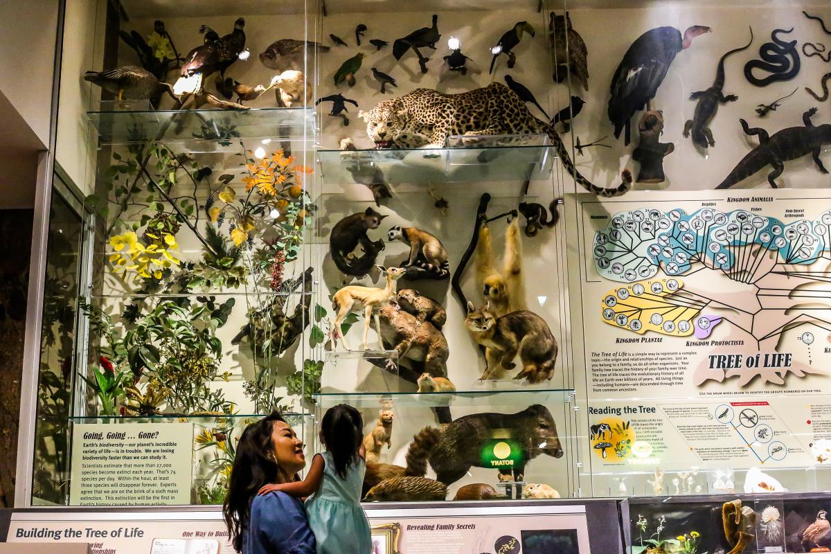Milwaukee Public Museum - Family