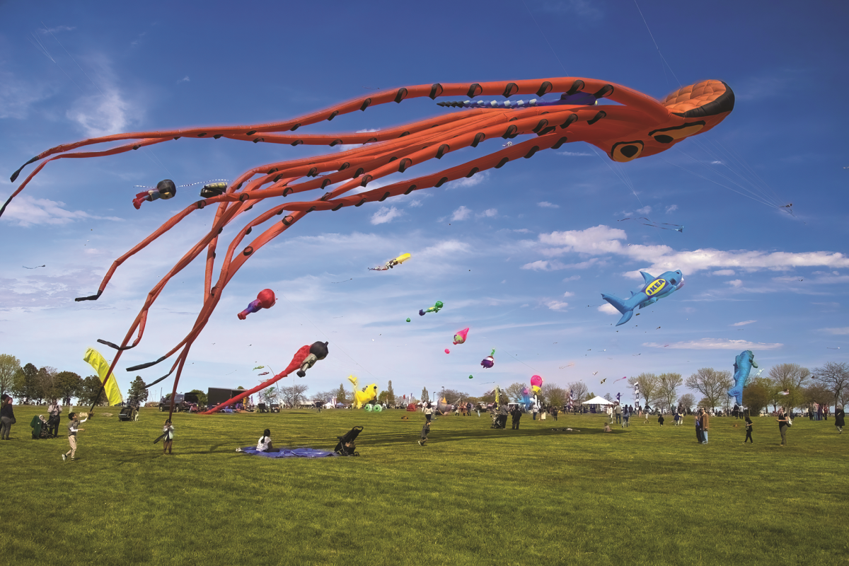 Large, colorful kites fly above an open field near Milwaukee’s lakefront.