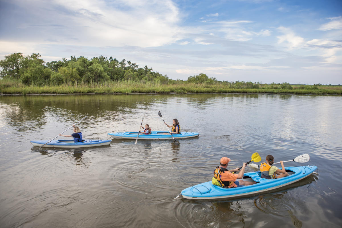 kayaking in the delta