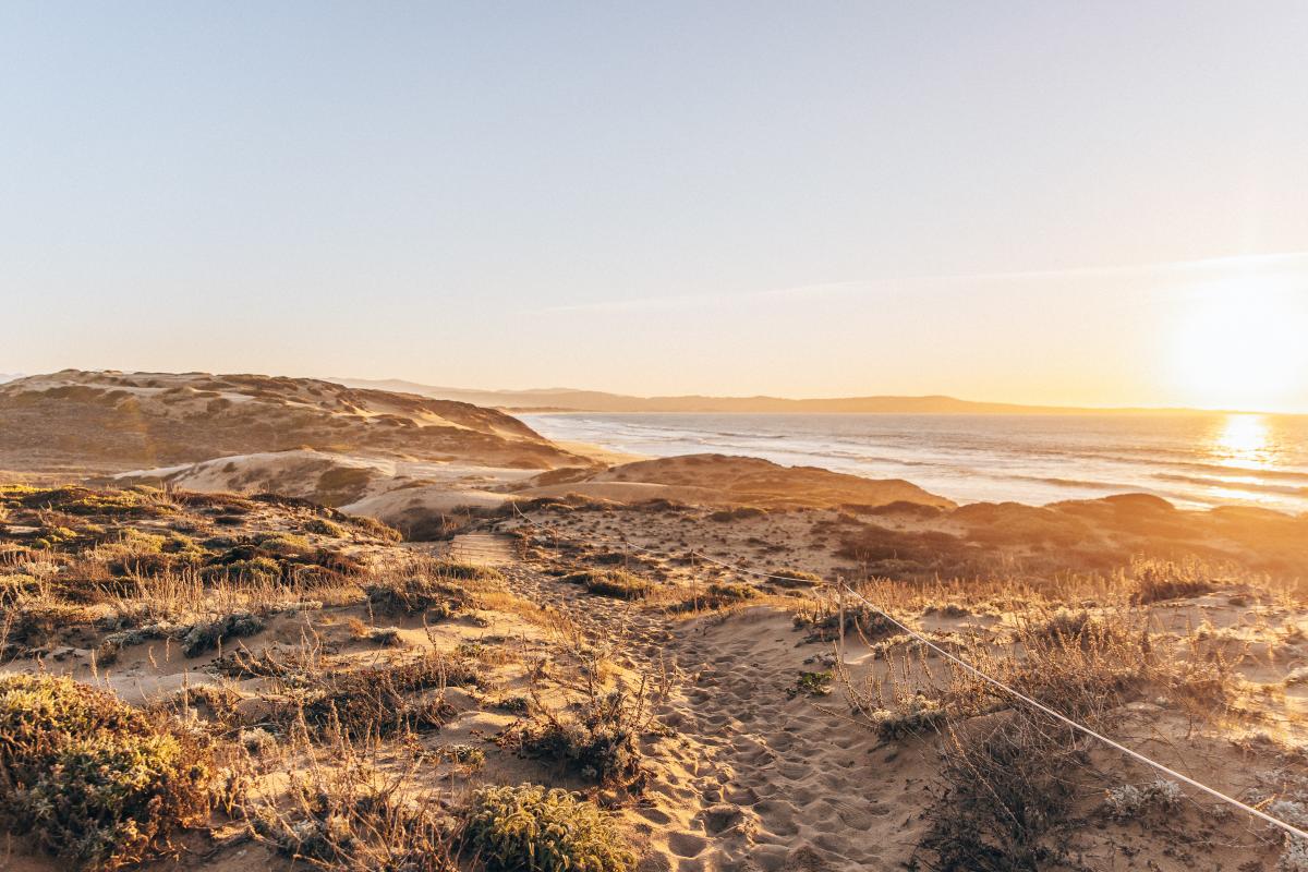 Fort Ord Dunes State Park in Marina