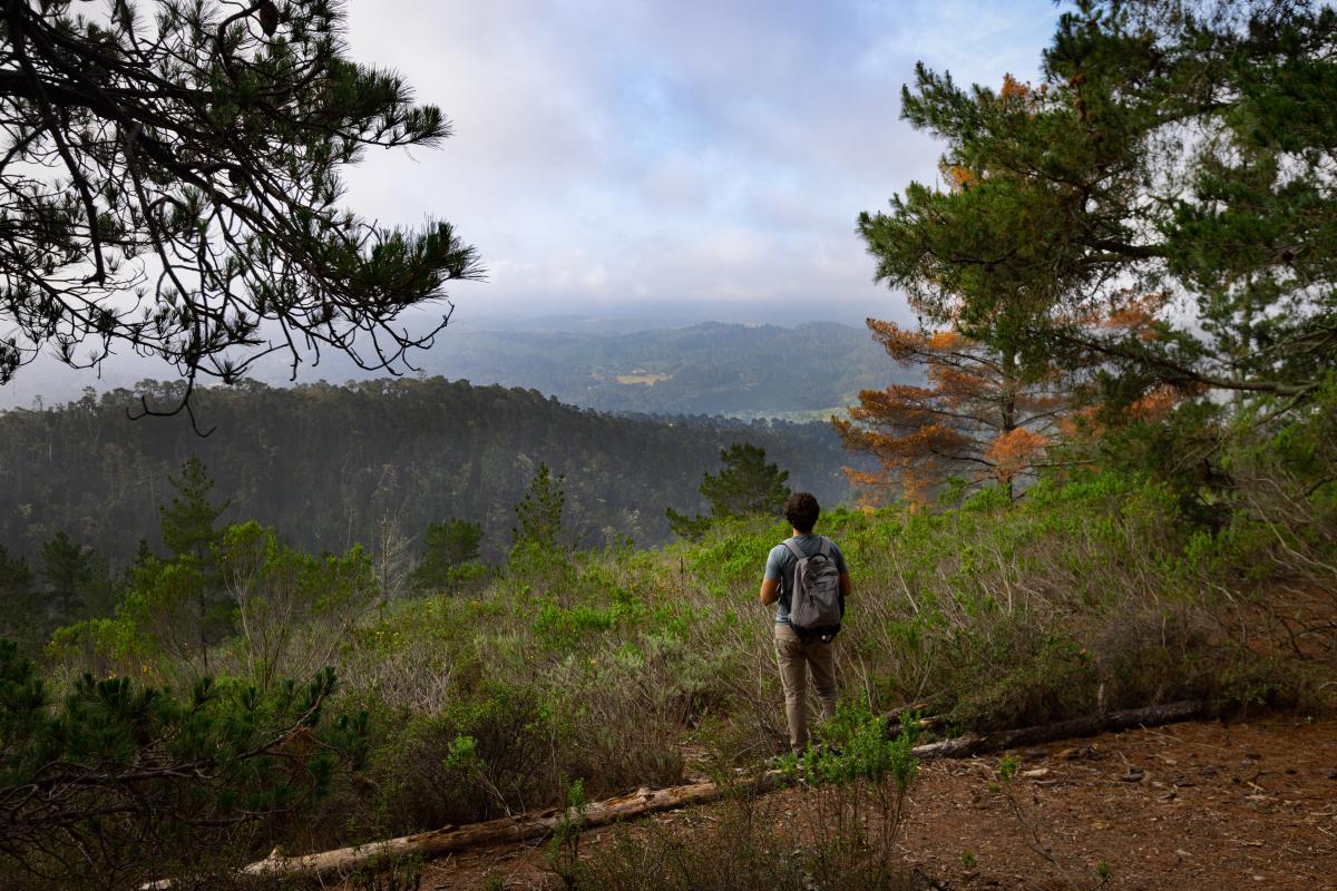 Jacks Peak Monterey