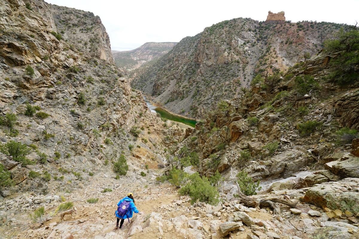 Hiker navigates down a steep section of trail above the Gunnison River