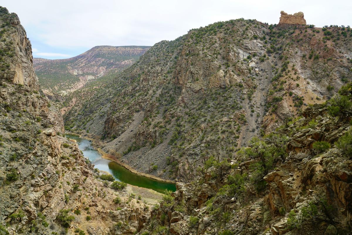 A view looking down at the green Gunnison River between massive canyon walls.