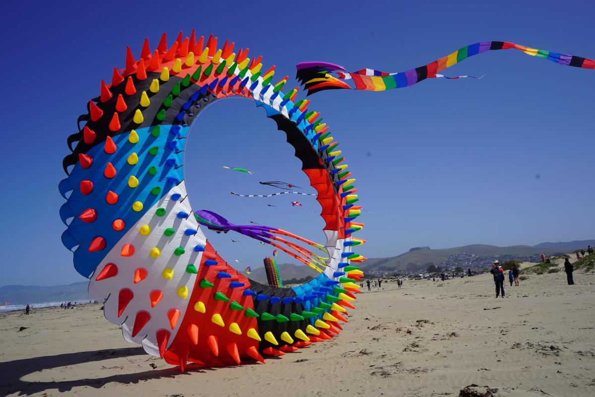 Morro Bay Kite Festival 2024 Live channa chelsey