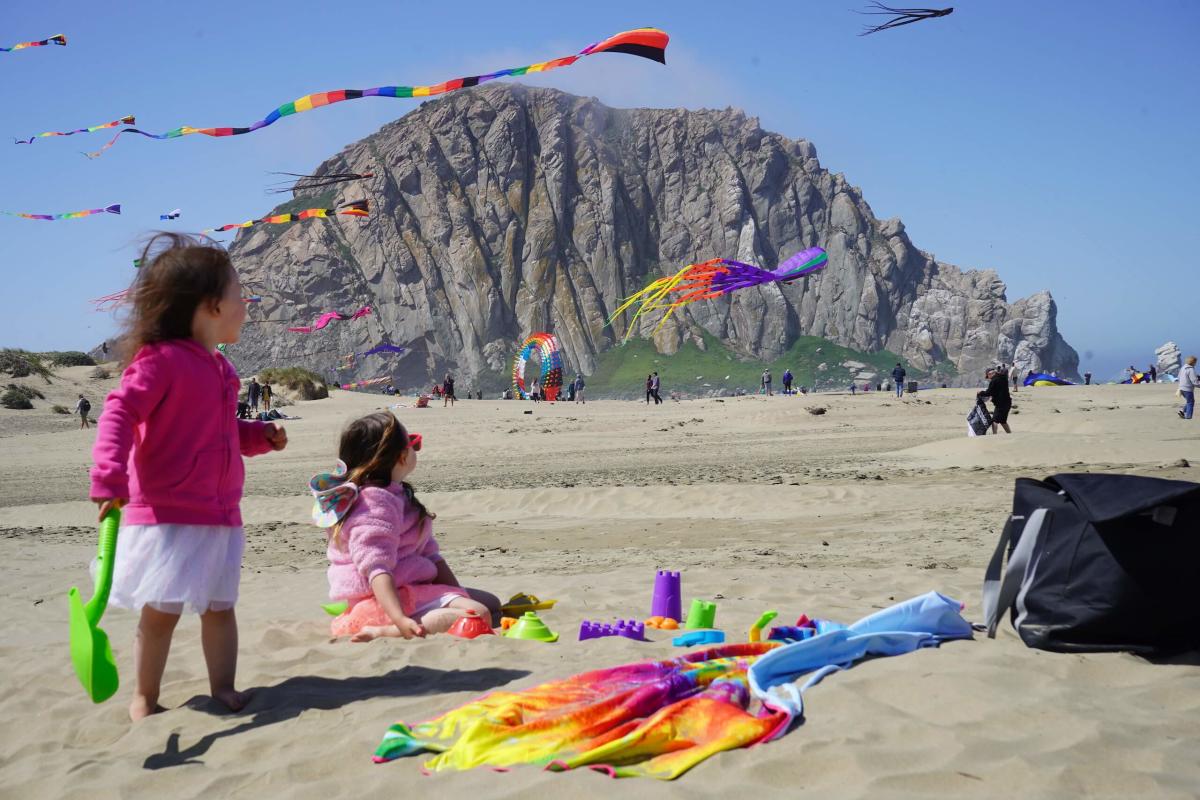 Morro Bay Kite Festival 2024 Megan Felecia