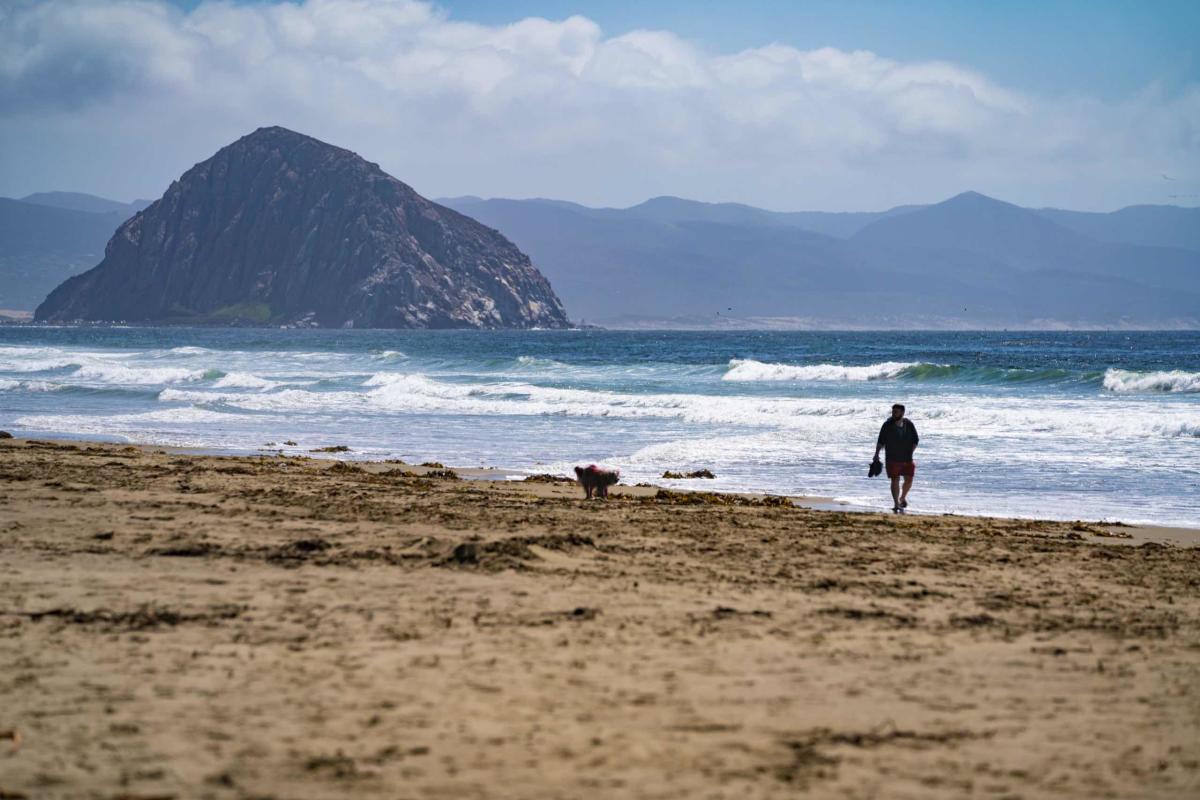Strand surfing outlet