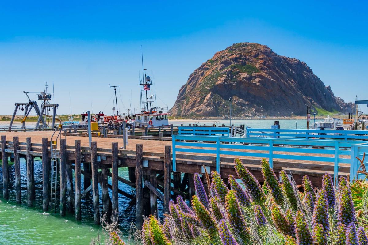 California: Hooked On Morro Bay