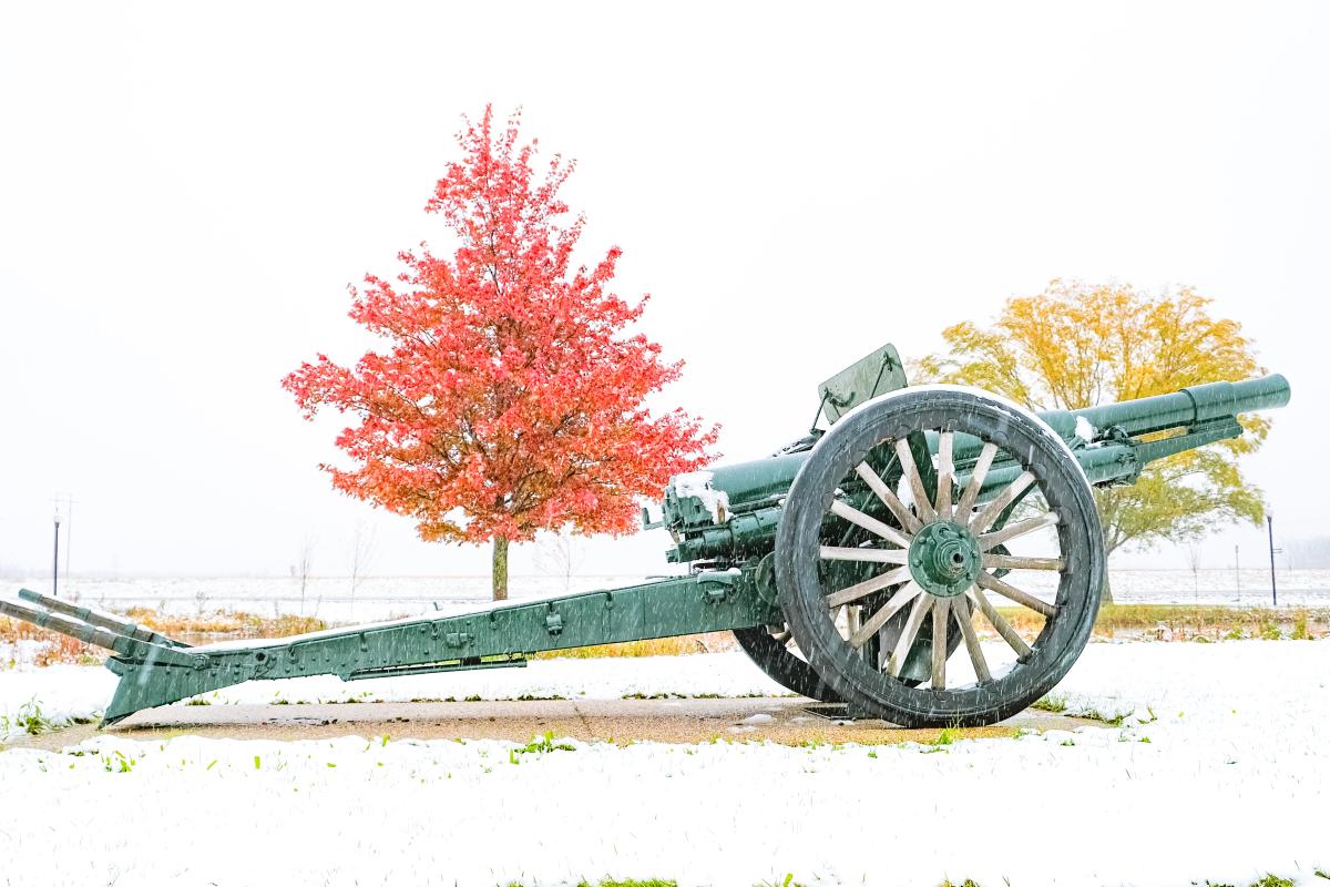 WW1 cannon sits in snow with tree trees in background, one is covered in vibrant red leaves and the other is golden