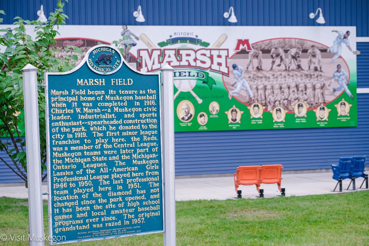Marsh Field