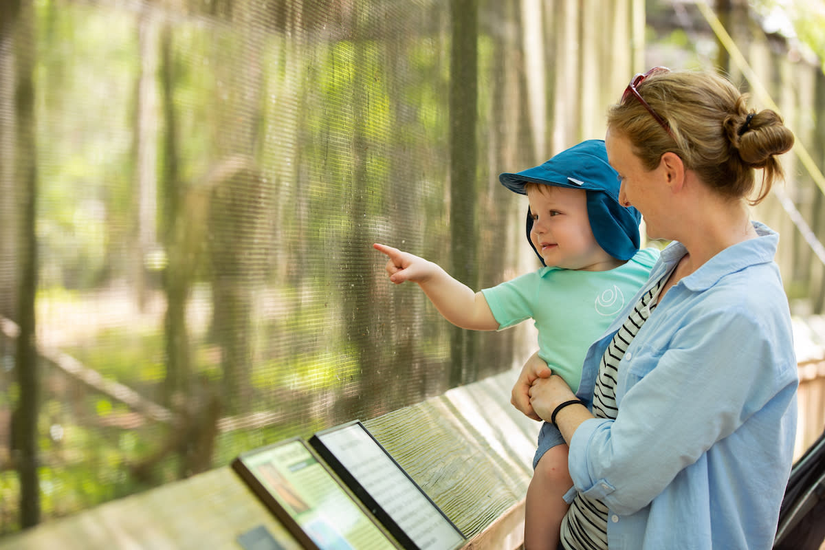 Child and Mom looking at animals at Lowcountry Zoo