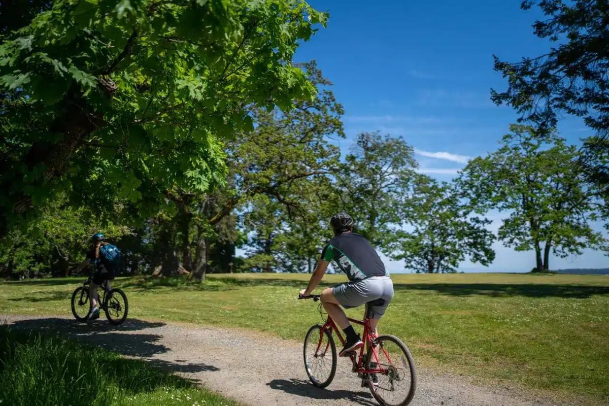 cycling in the park