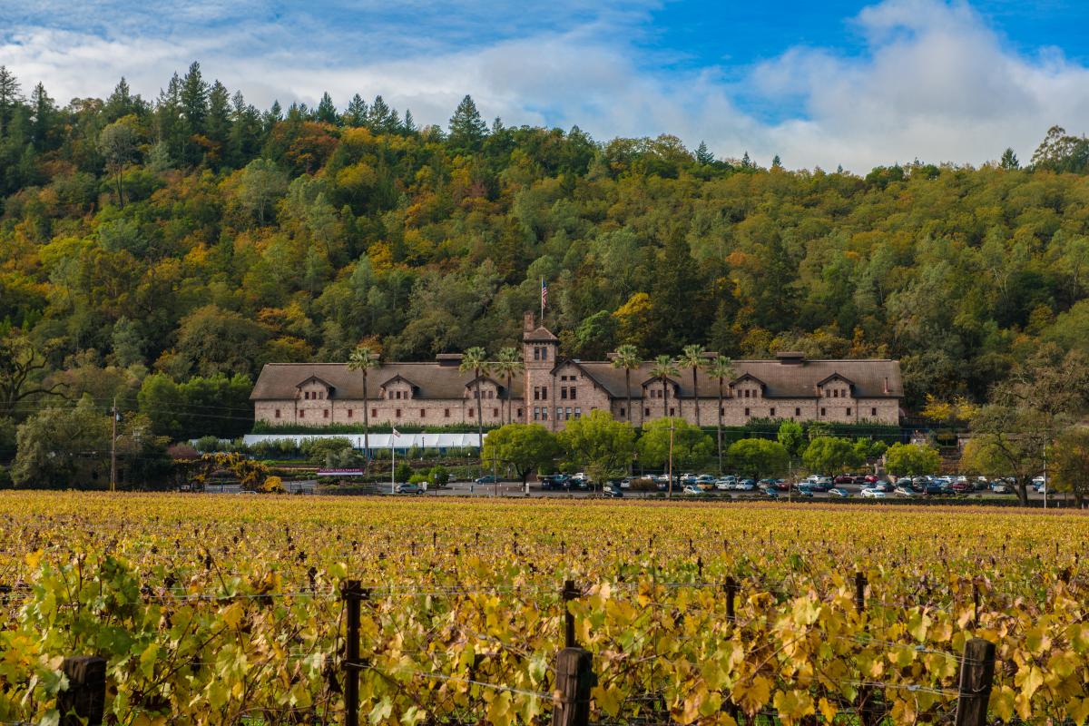 CIA Greystone in St Helena in the Fall