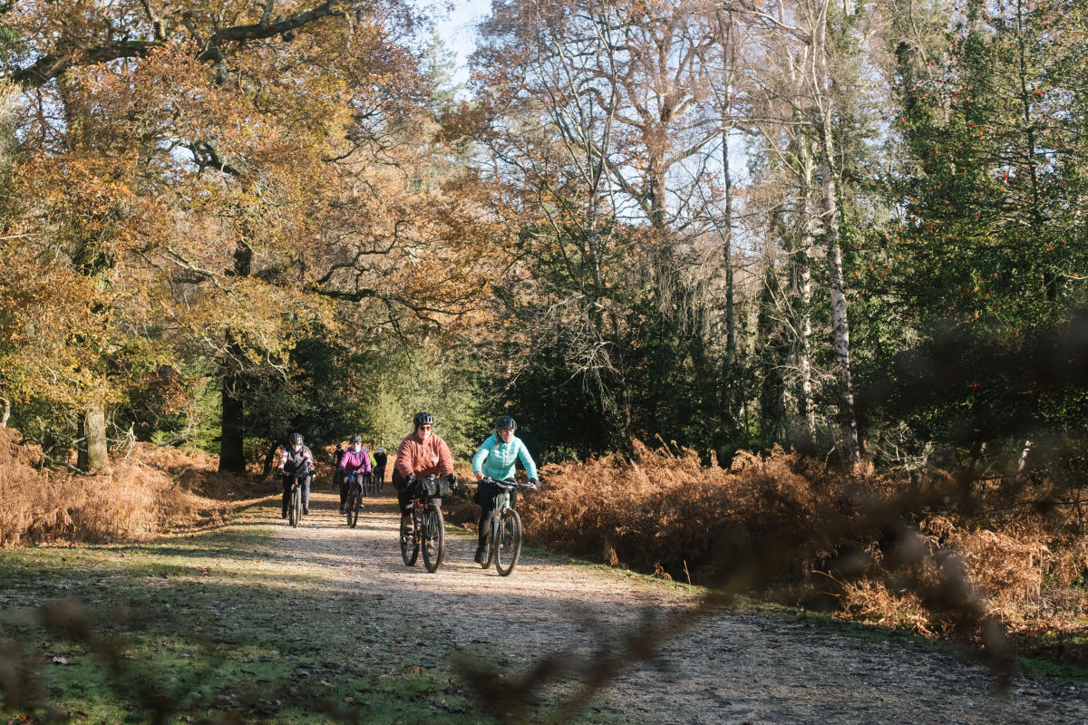 Guided cycling with The New Forest Off Road Club