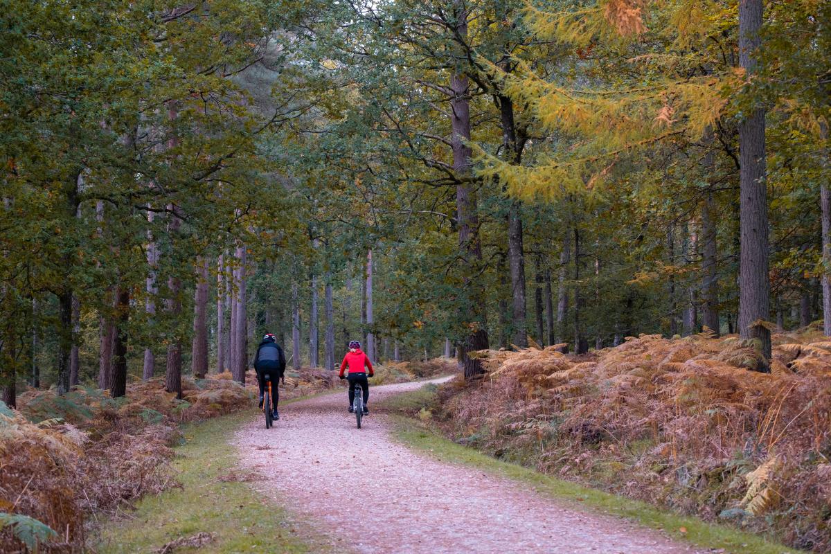 Autumn Breaks Blog - Autumn Cycling