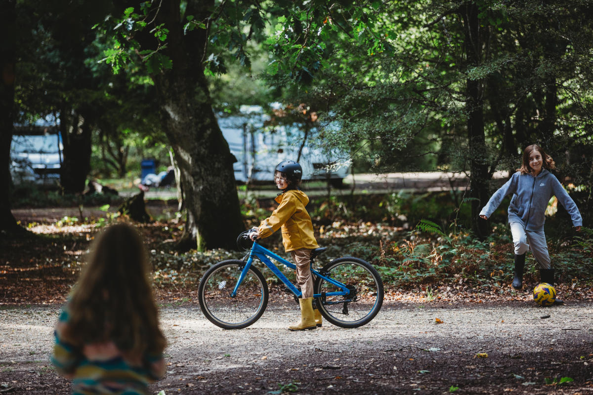 Camping New Forest Autumn Blog Cycling