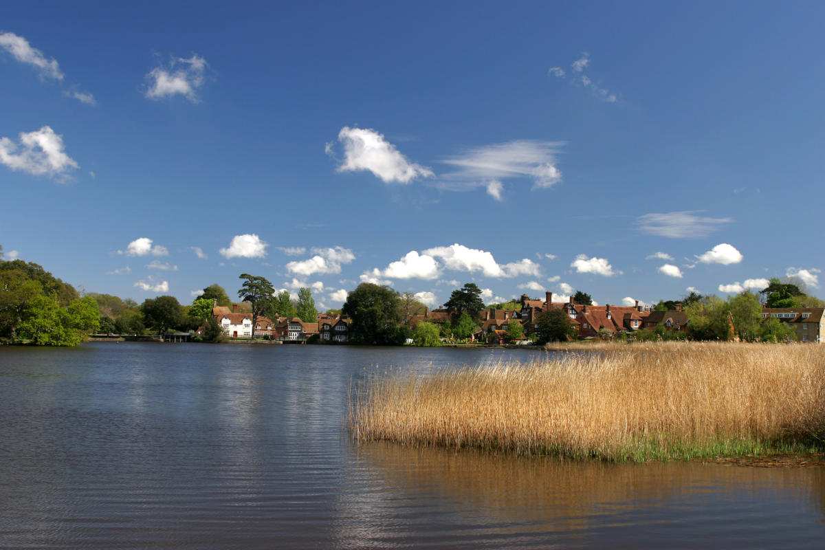 Beaulieu Millpond