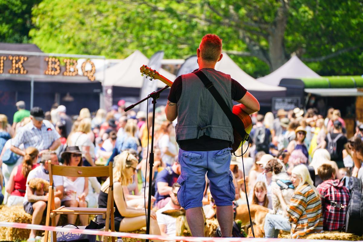 Singer and guitarist on stage at Dogstival