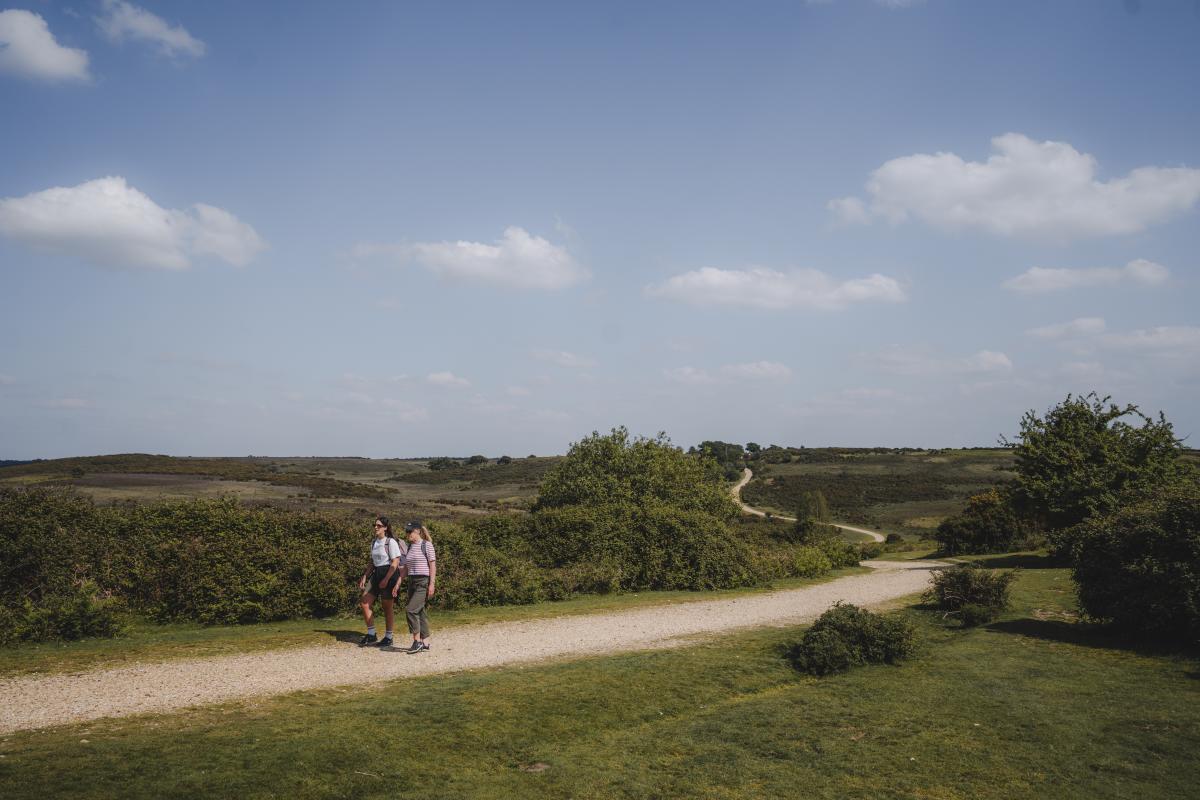 Walking in the New Forest at Godshill