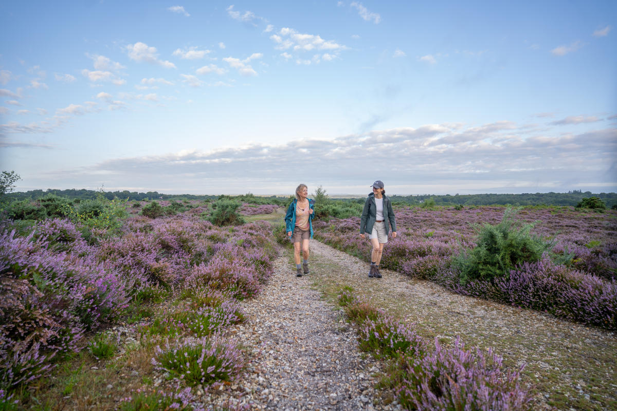 Two people walking in the heather in the New Forest