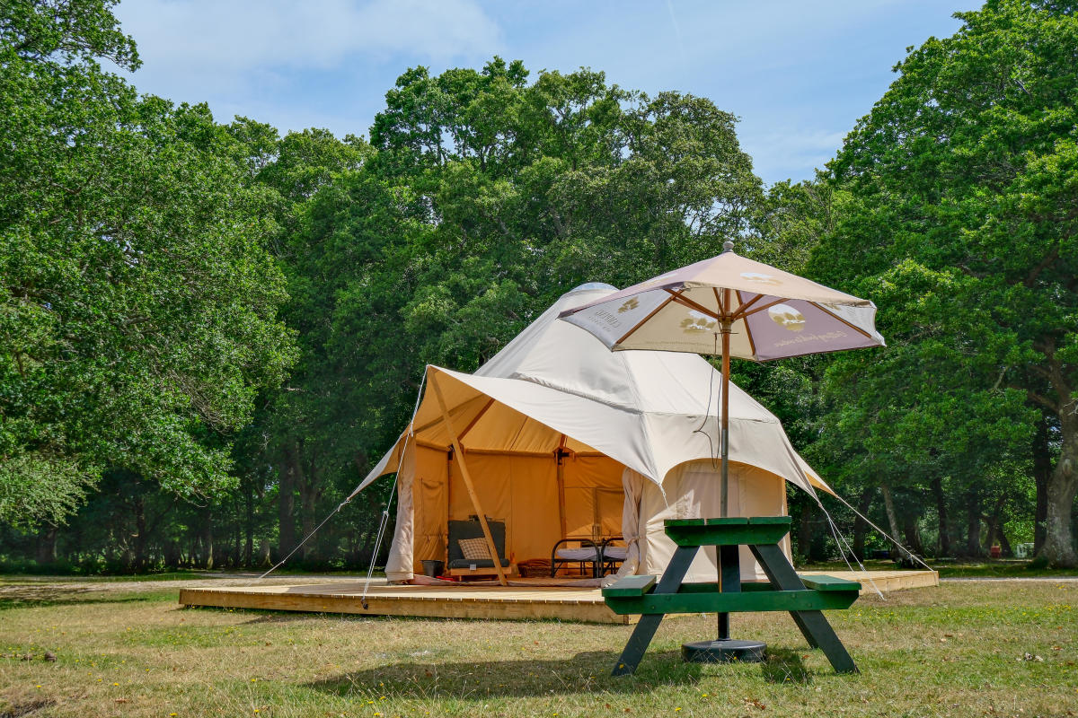 Glamping tent exterior - Camping New Forest