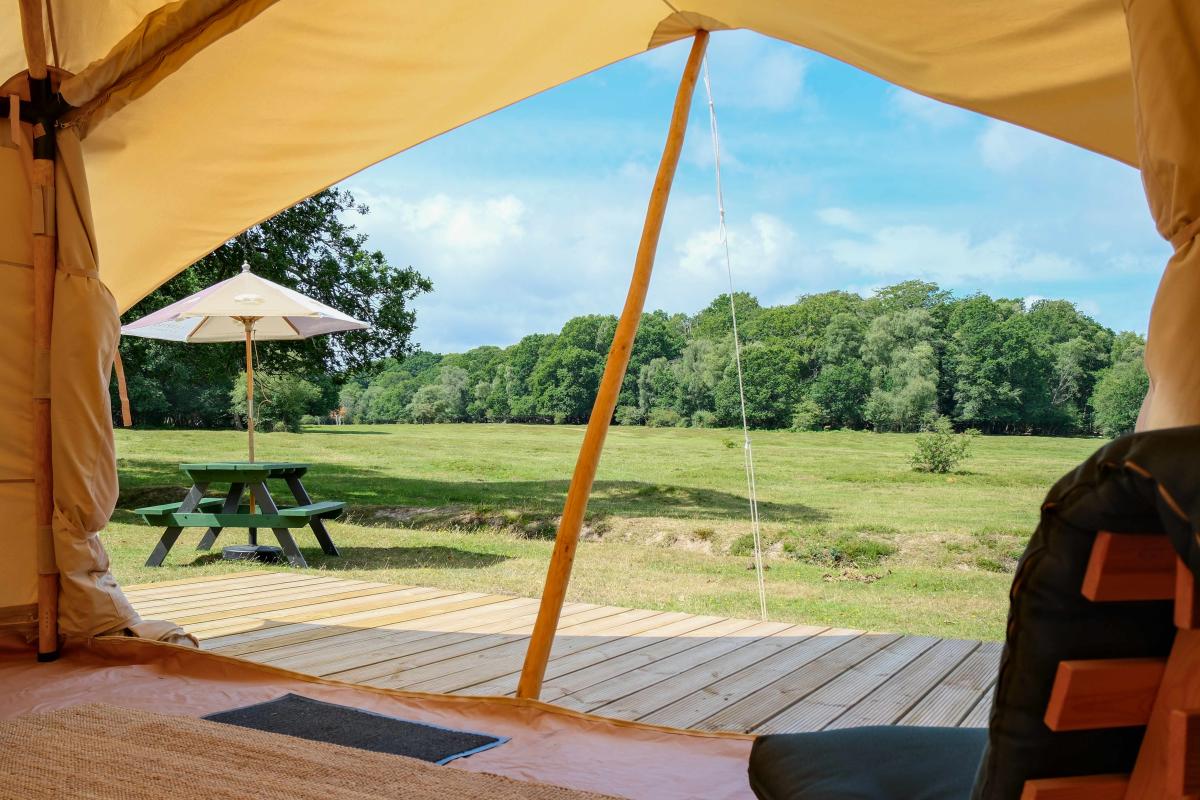 Camping New Forest - View from Glamping tent in the Summer