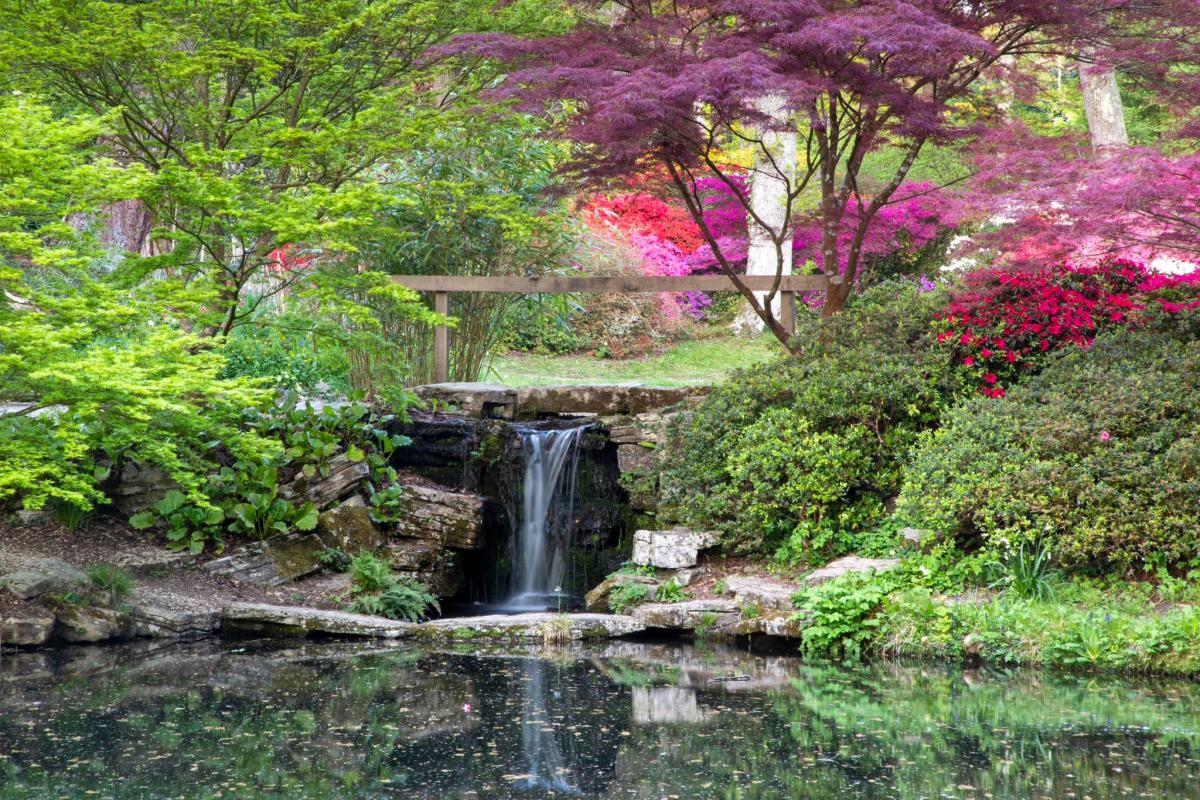 Exbury Gardens waterfall and pond in the New Forest
