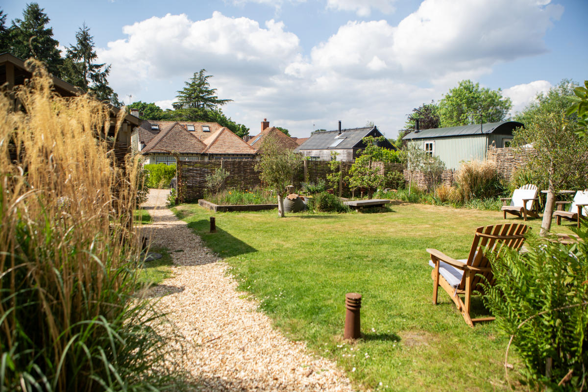 Daisy Bank Blog Garden Accommodation New Forest Boutique Nature