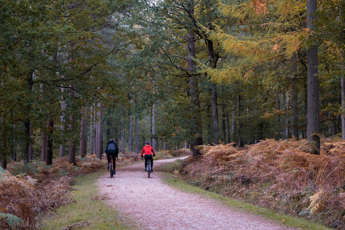 Two people cycling in the New Forest in the autumn