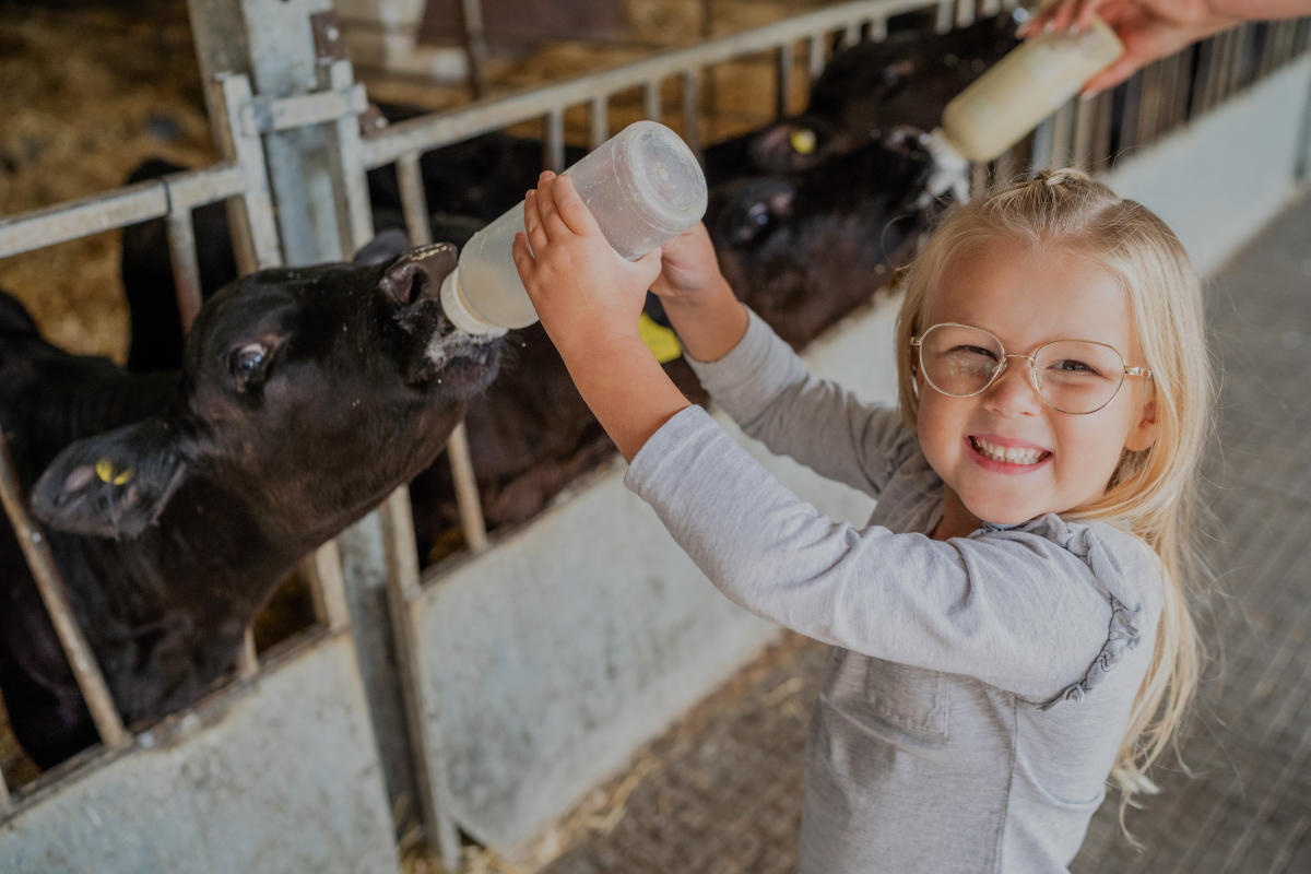 Longdown Activity Farm - Feeding time