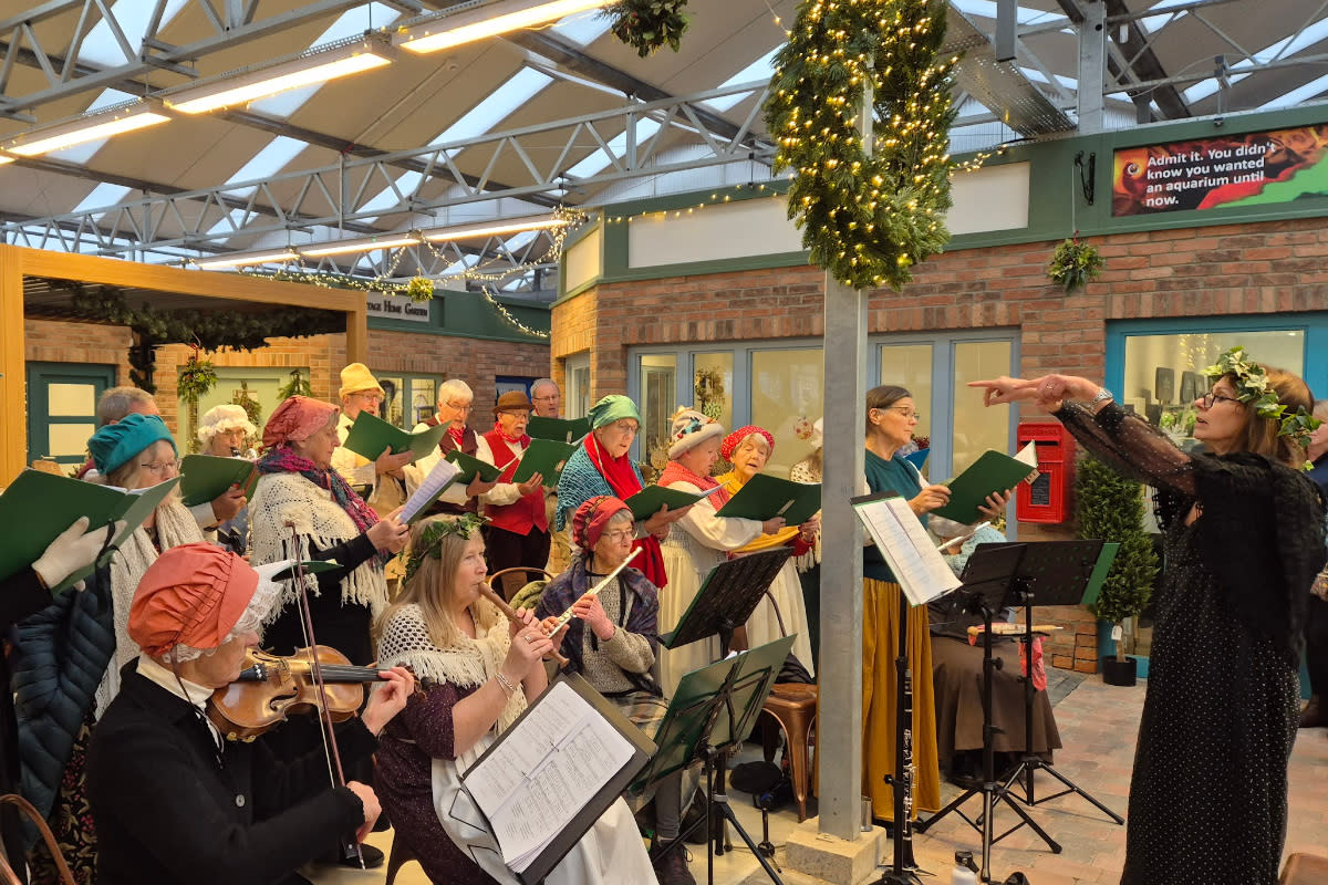 New Forest Marque Blog Choir