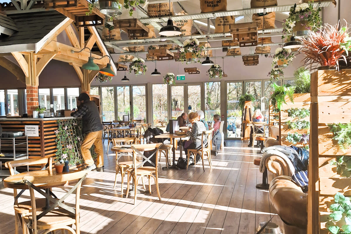Marque Autumn Blog Mabel Cafe