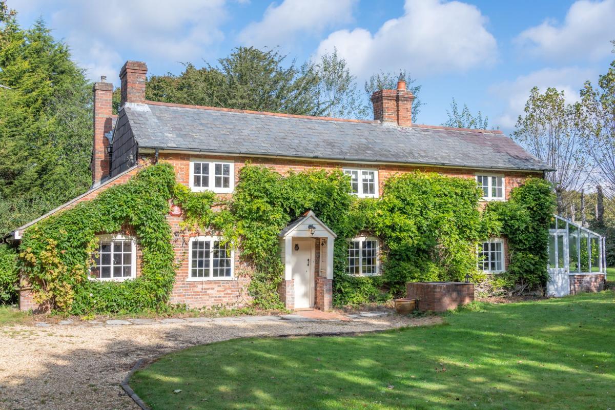 New Forest Cottages blog