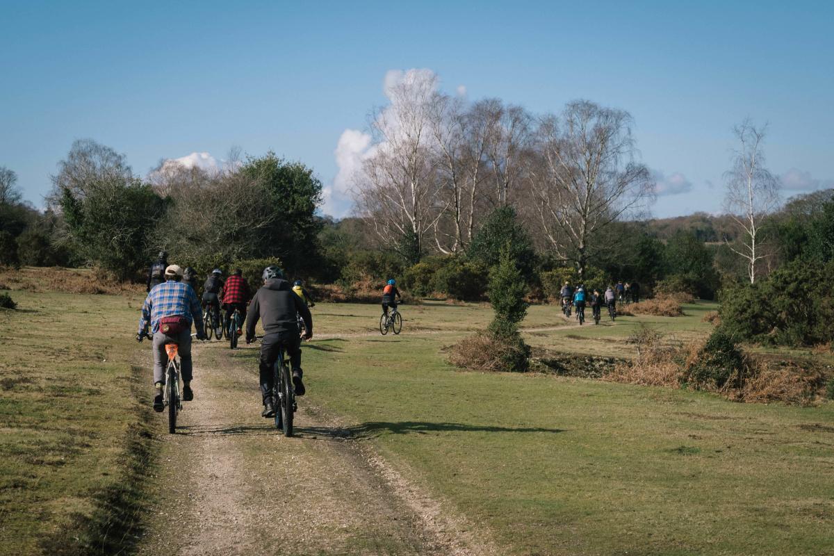 Group Ride with The Woods Cyclery in the New Forest