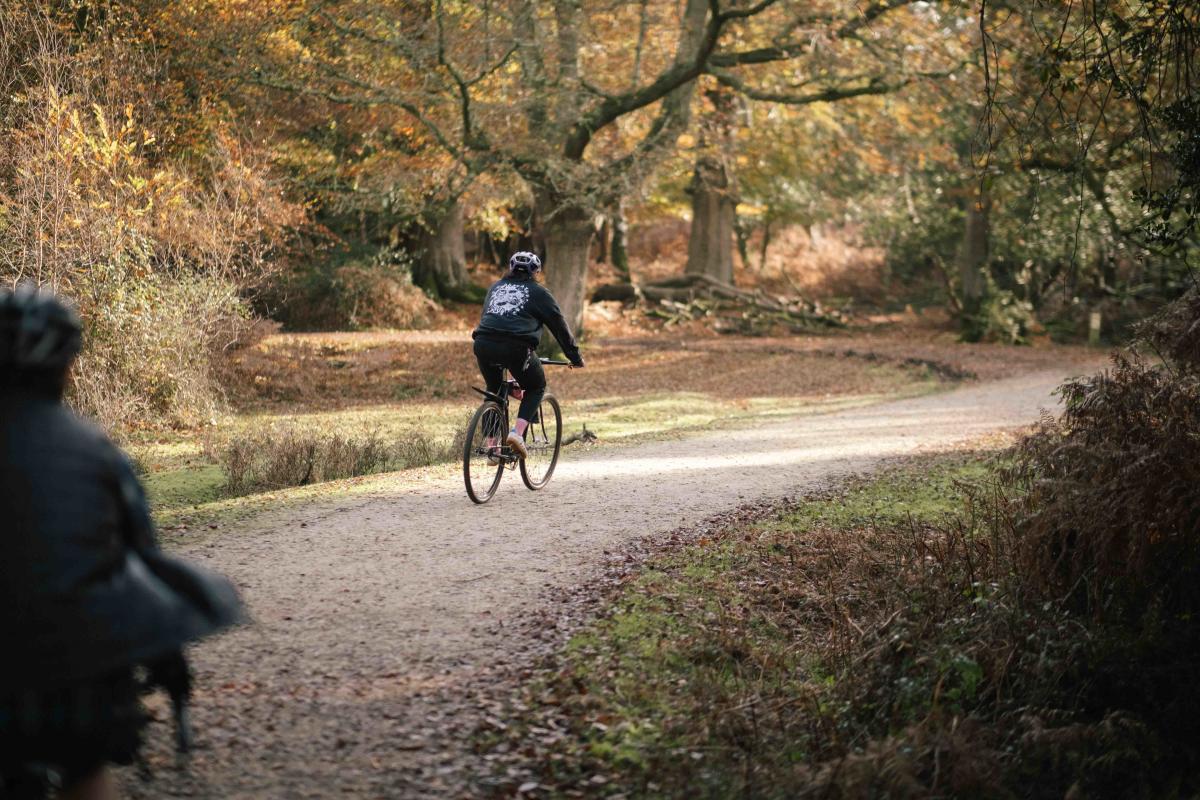 October half term in the New Forest