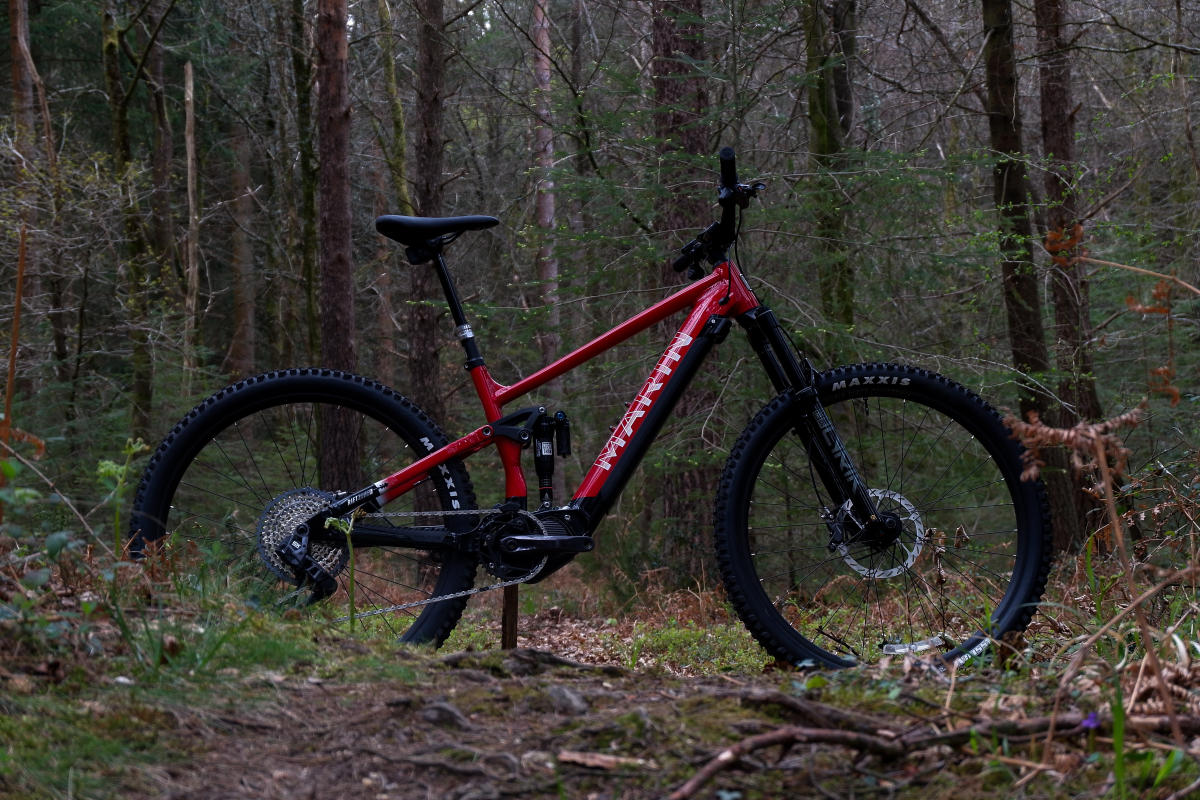 New Forest Cycling - Guest Blog 7