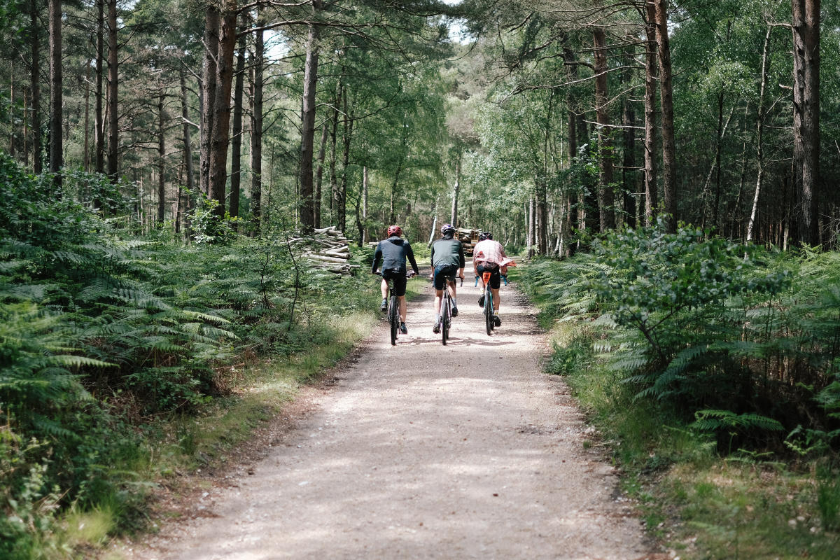 The Woods Cyclery - Cycling in Woodland in the New Forest