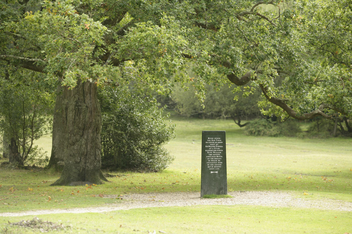Rufus Stone in the New Forest
