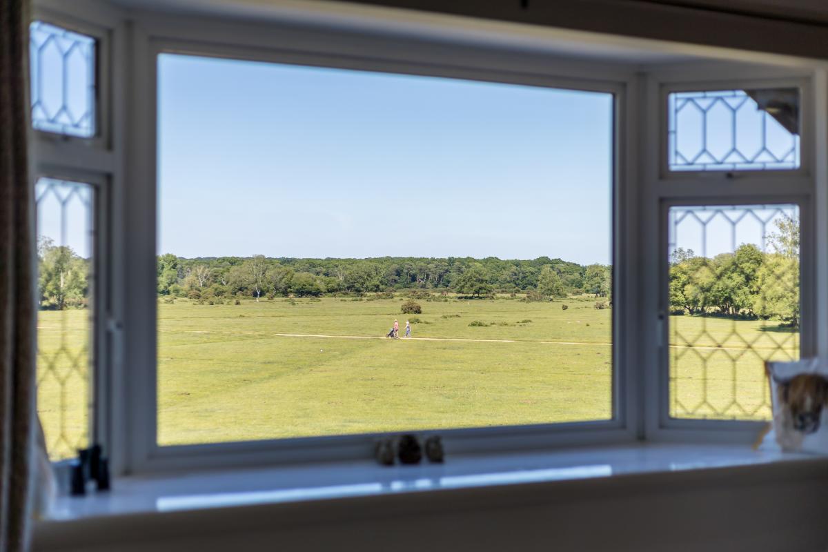 New Forest Cottages