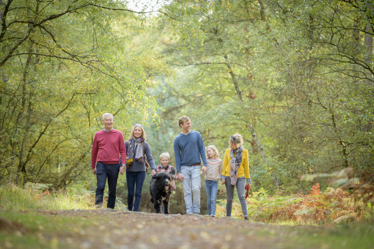 Family walking in the New Forest in autumn