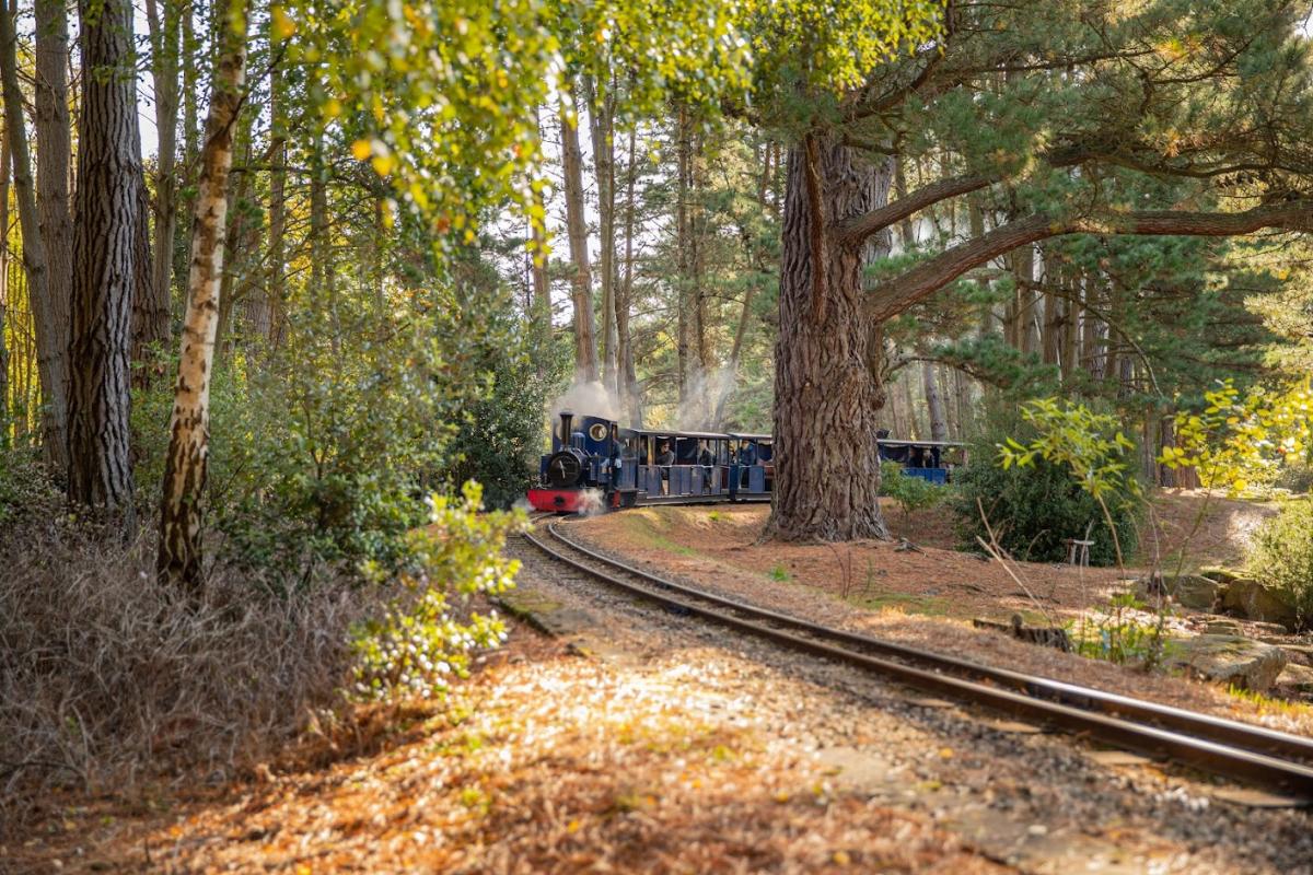Steam Railway at Exbury Gardens in the New Forest - Things to do hero