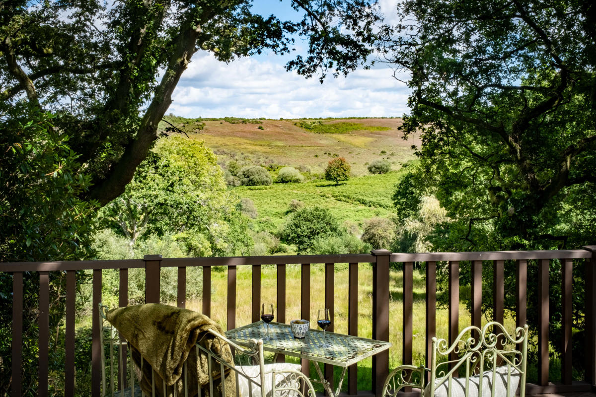 New Forest Escapes - View from property