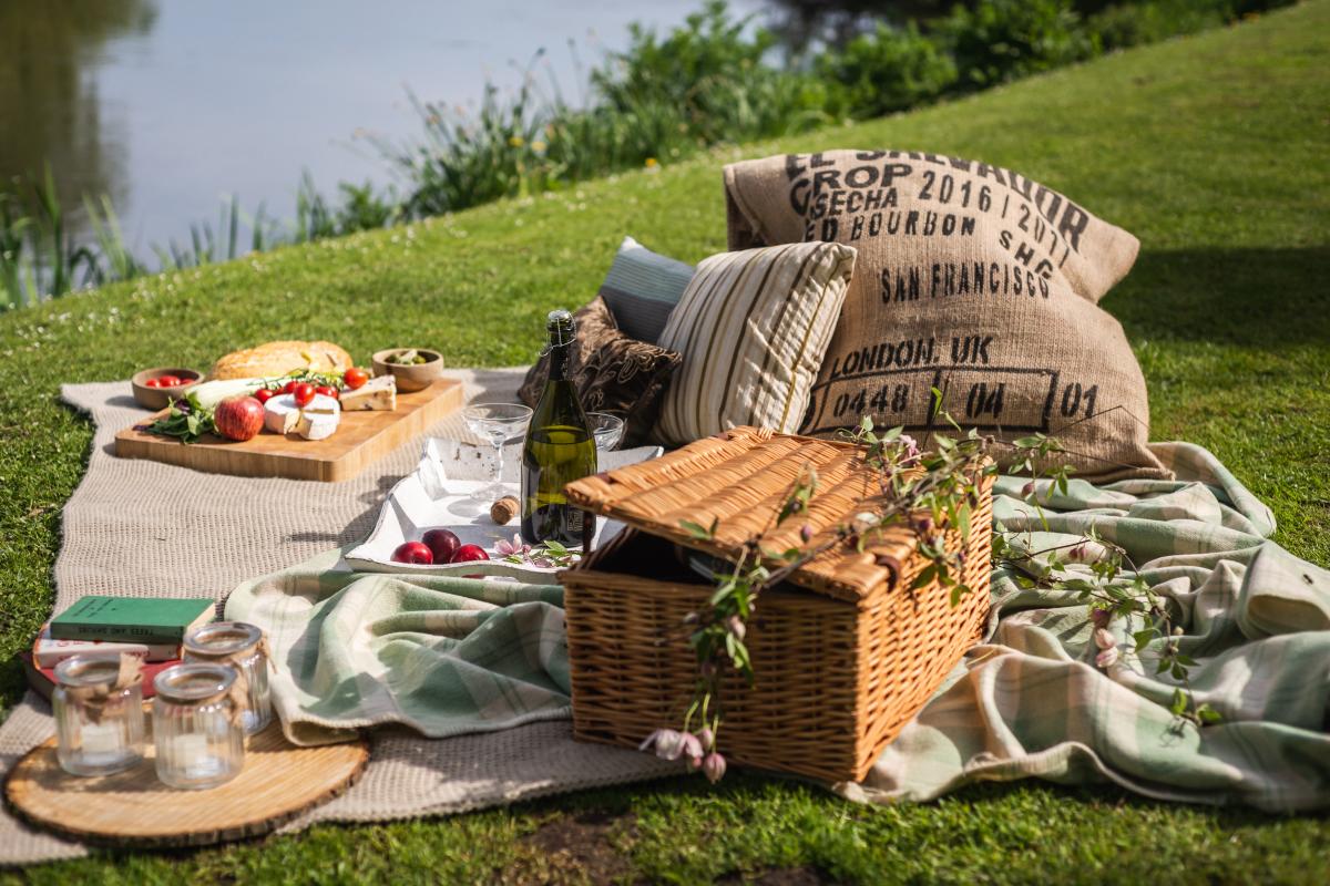 Picnic Blog - June 2023