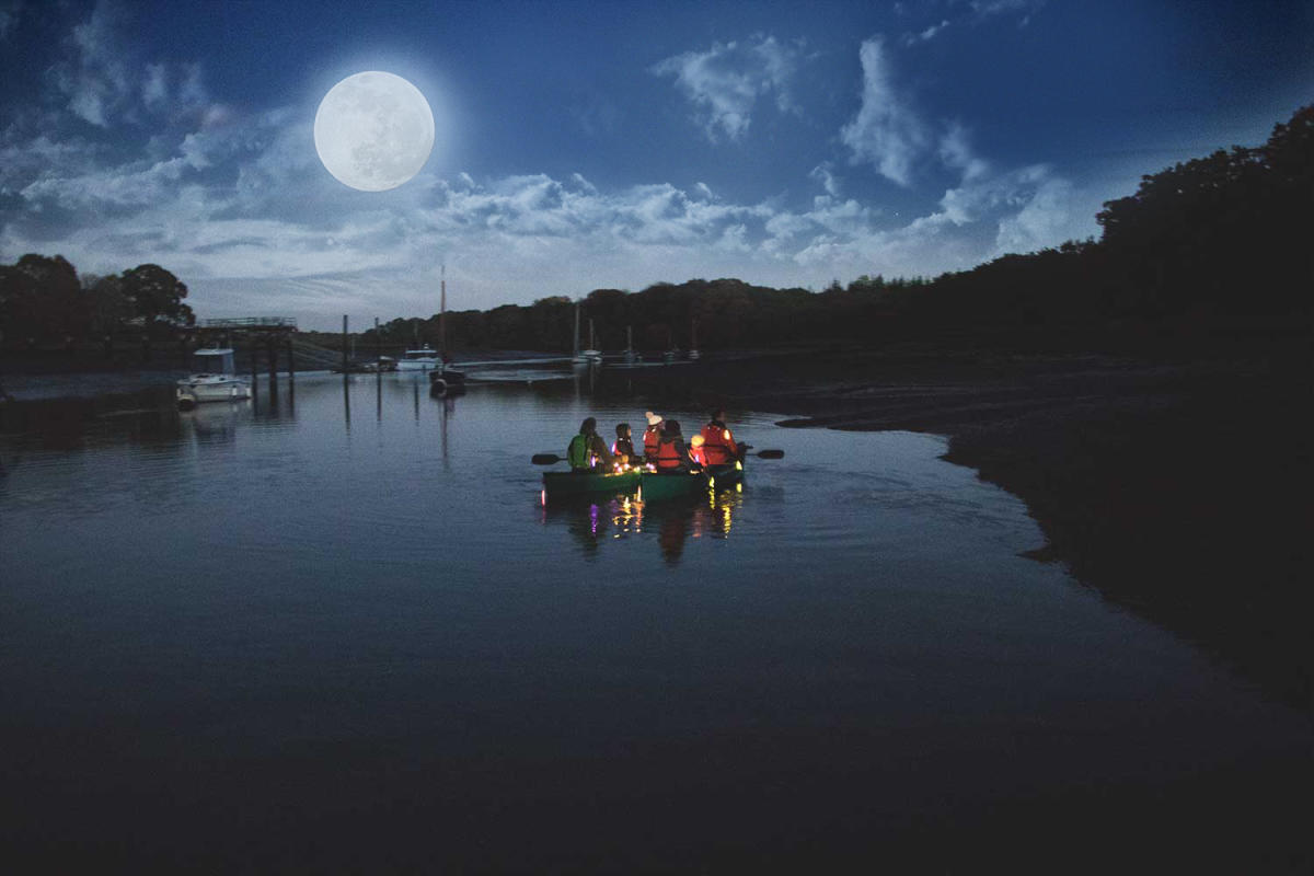 Halloween Spooky River Tour with New Forest Activities down Beaulieu River in the New Forest