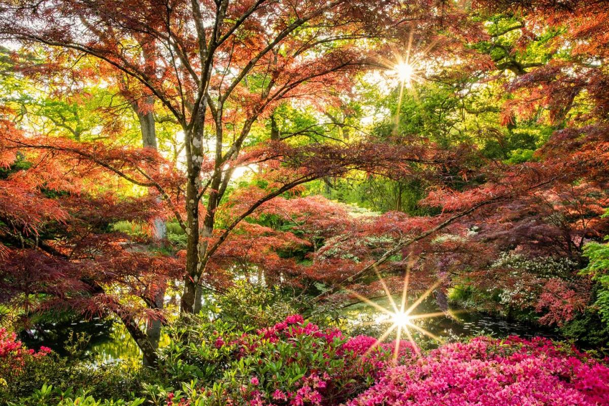 Exbury Gardens