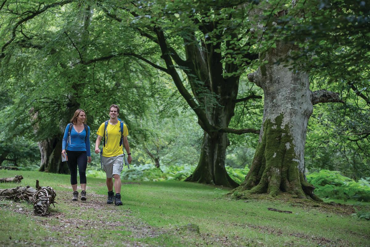 Two people walking in the New Forest