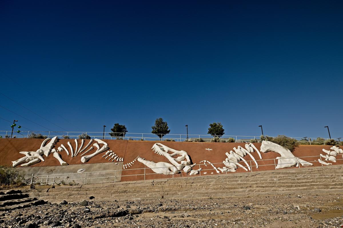 “Fossils” line an arroyo’s walls, Albuquerque, New Mexico Magazine